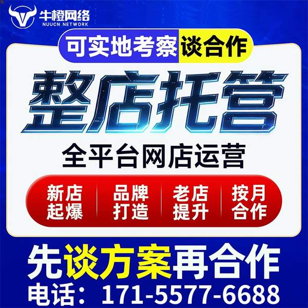东台电商代运营