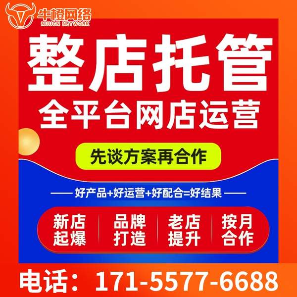 东台电商代运营