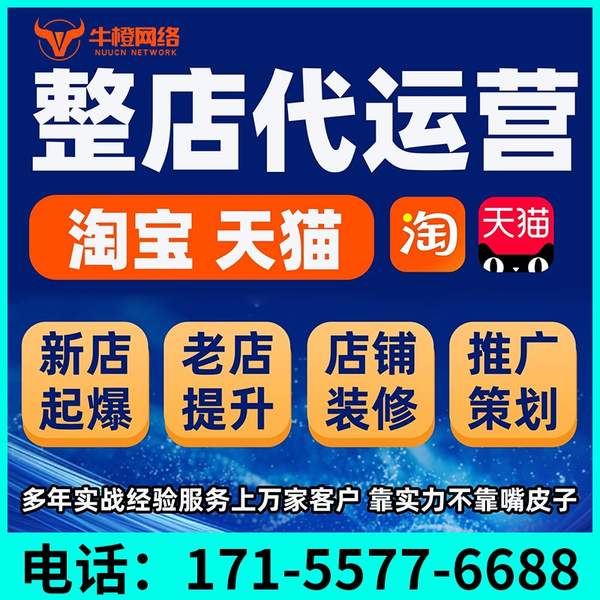 东台电商代运营