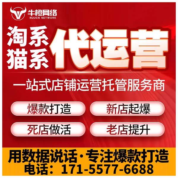 东台电商代运营